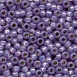 Mill Hill Beads - Glass Pony Beads Size 8 - Opal Hyacinth (18826)