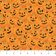 Pumpkins Orange