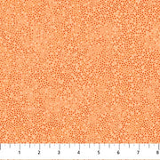 Tonal Trios Apricot