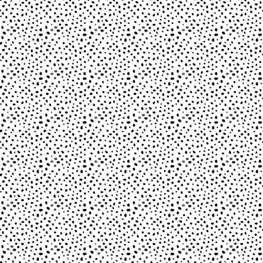 Dear Stella Quiet Riot Cheet Oh White