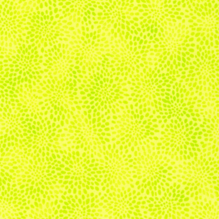 FQ Fusions Citrus