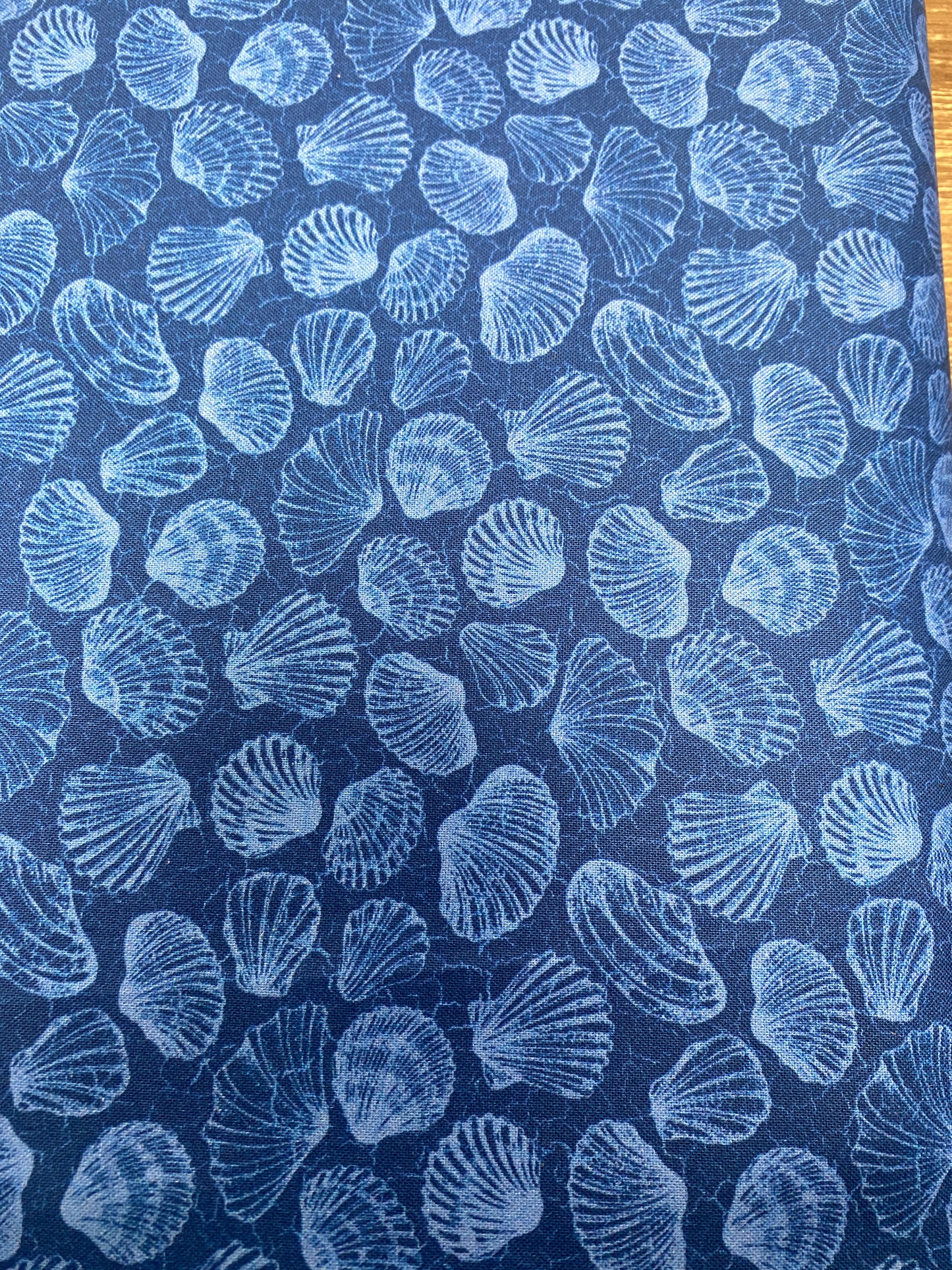 Shell Blender Blue SeaShells