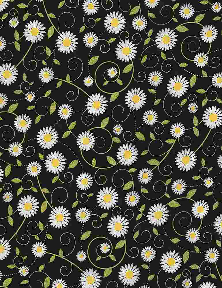 Daisy Vines
