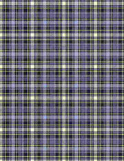 Blue Star Plaid