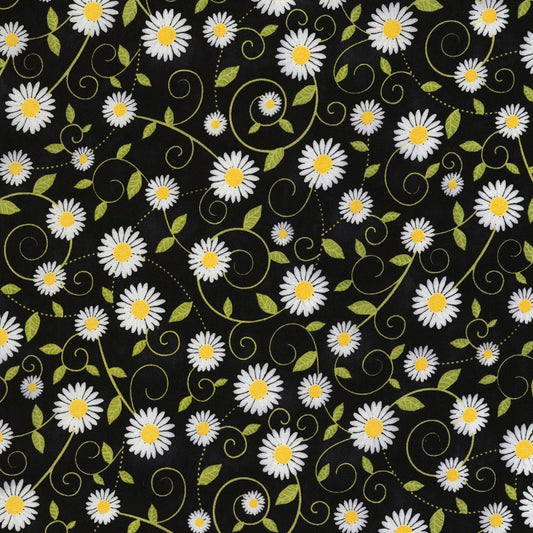 Hello Sunshine Black