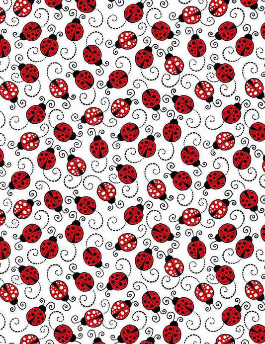 Little Red Ladybugs