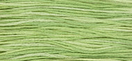 Weeks Dye Works - Wasabi (1120)