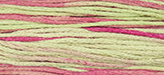 Weeks Dye Works - Coleus (1126)