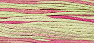 Weeks Dye Works - Coleus (1126)