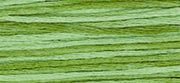 Weeks Dye Works - Meadow (2176)