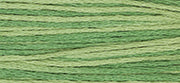 Weeks Dye Works - Ivy (2198)