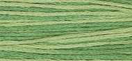 Weeks Dye Works - Ivy (2198)
