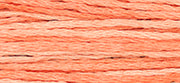 Weeks Dye Works - Cantaloupe (2243)