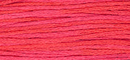 Weeks Dye Works - Watermelon Punch (2262)