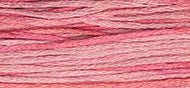 Weeks Dye Works - Camellia (2276)