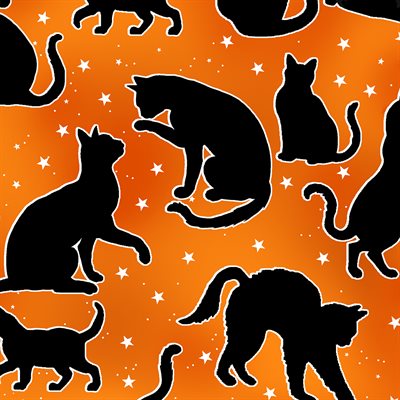 Black Cats Orange - 12545G-38